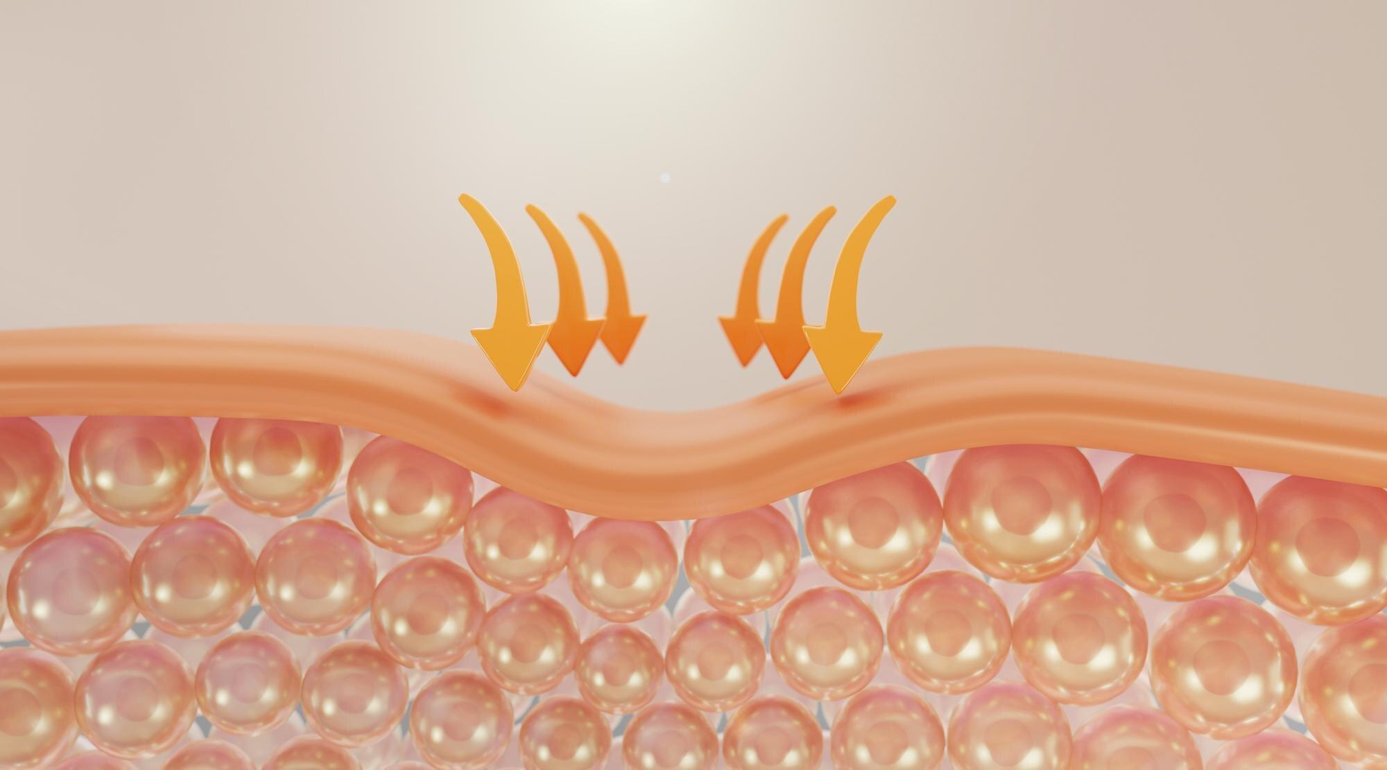 Ilustracja do artykułu: Mechanizm działania kolagenu w stawach - Profil bezpieczeństwa i działania niepożądane