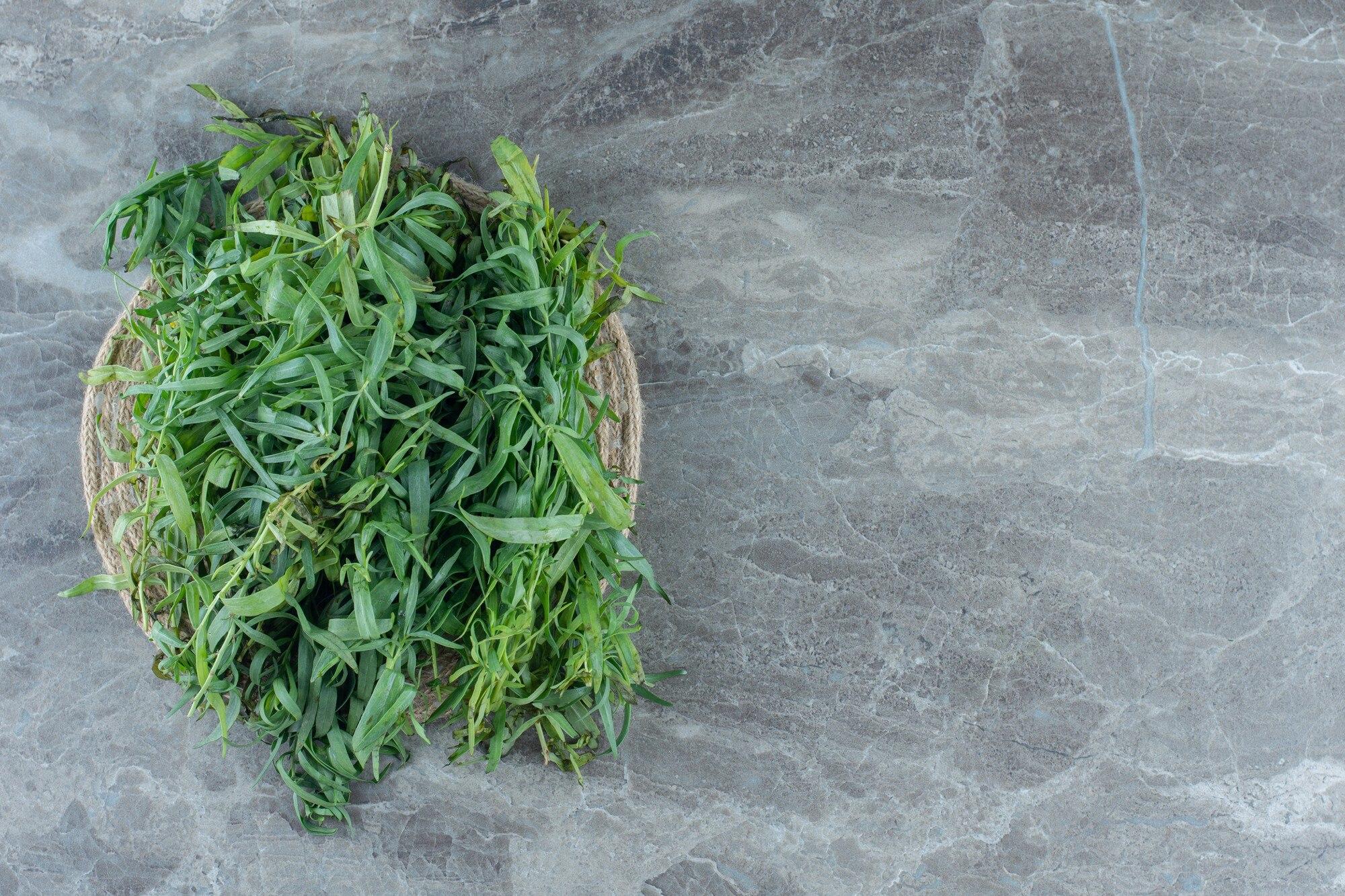 Ilustracja do artykułu: Współczesne podejście do problemu pasożytów jelitowych - Mechanizmy działania naturalnych związków przeciwpasożytniczych