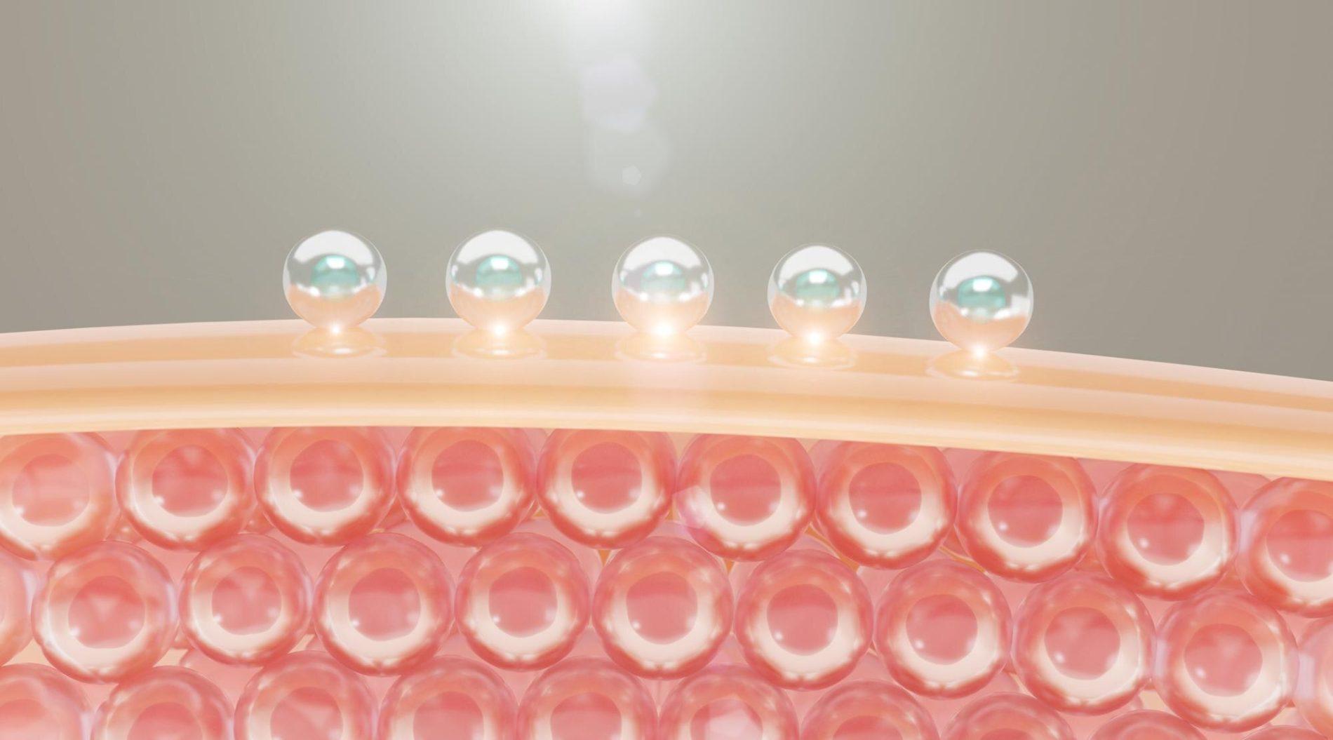 Ilustracja do artykułu: Czym jest glukozamina i jak działa na stawy - Najnowsze badania nad skutecznością glukozaminy