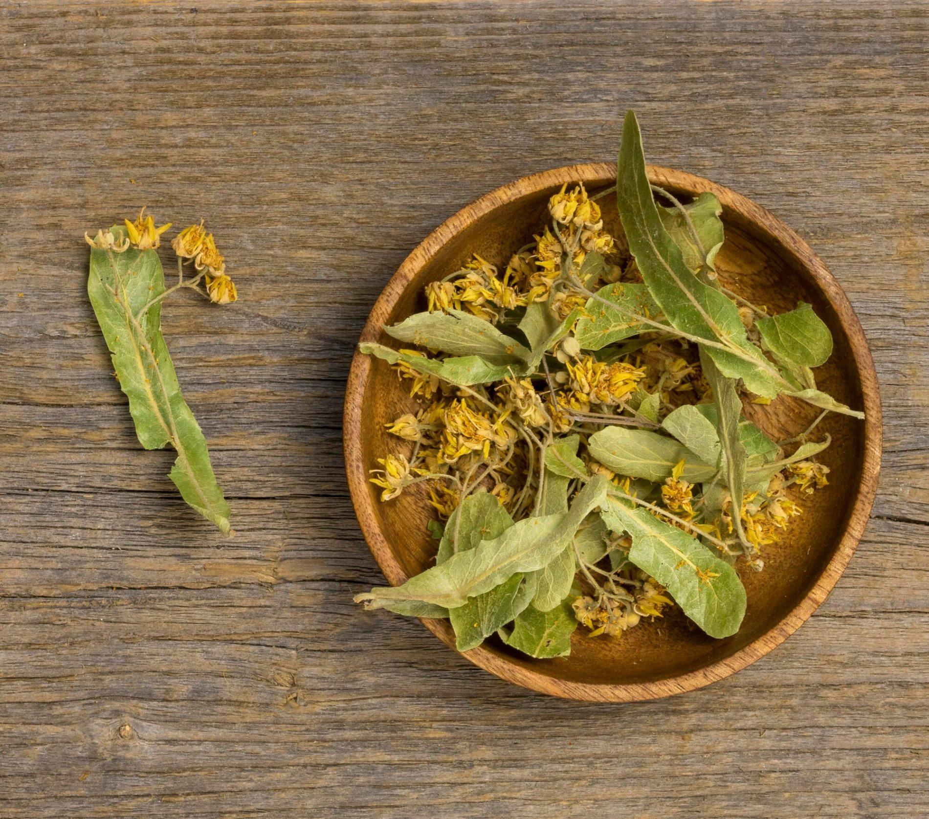 Ilustracja do artykułu: Mechanizm powstawania hemoroidów i rola naczyń krwionośnych - Naturalne składniki aktywne w terapii hemoroidalnej