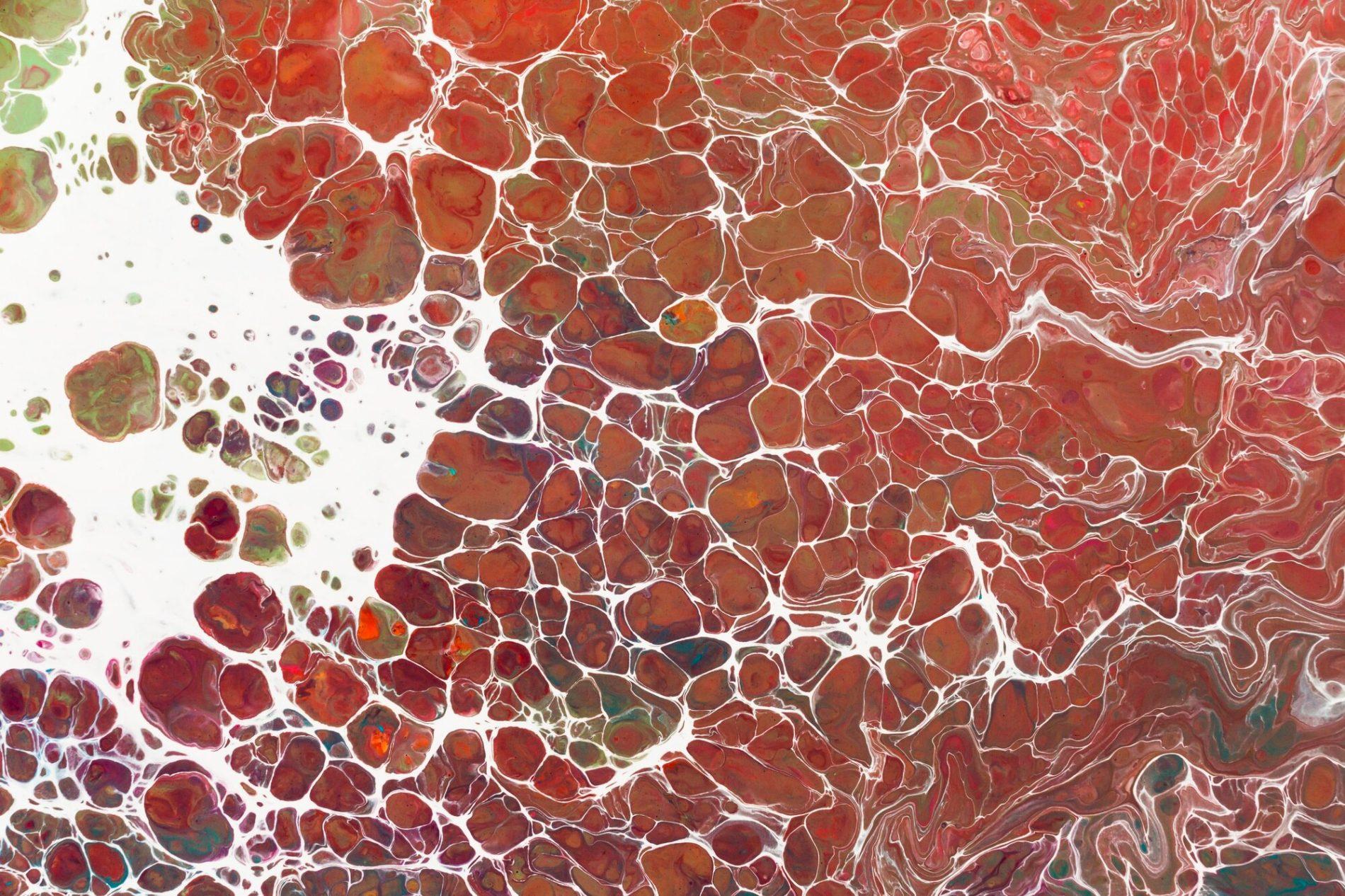 Ilustracja do artykułu: Metabolizm glukozy a zdrowie sercowo-naczyniowe - Wpływ stresu oksydacyjnego na metabolizm