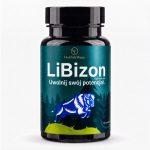 LiBizon