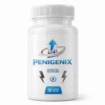 PENIGENIX